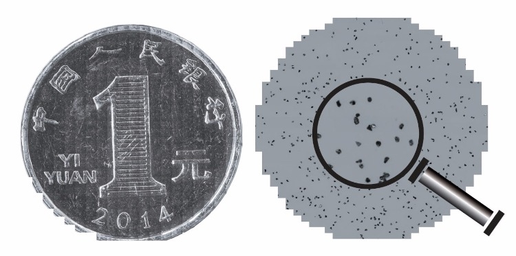amjs澳金沙门151(百度)有限公司