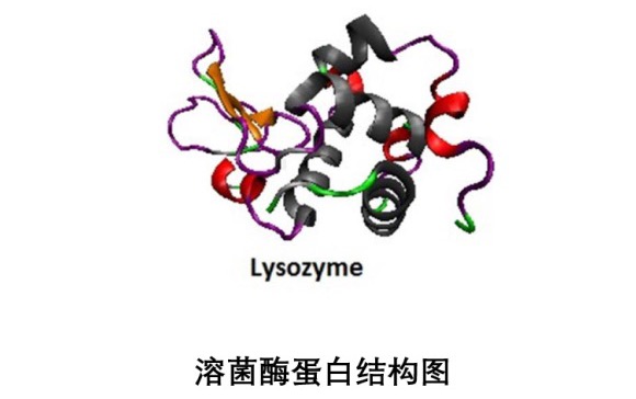 使用BeNano检测VB1和溶菌酶的粒径散布
